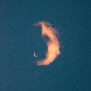 Meet your Posher, Josh